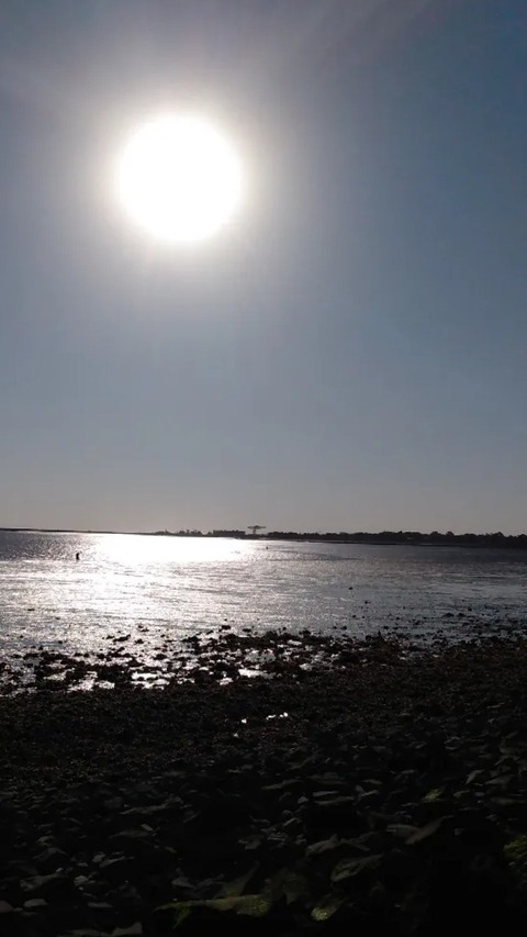 Diamond @diamondfux69 cover picture