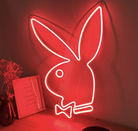 Dianabunny🌸 @dianabunny cover picture