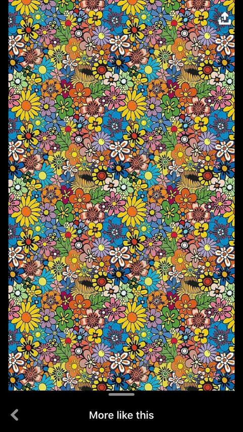 🦋 Dirty Hippie ✨ @dirtyhippie_ cover picture