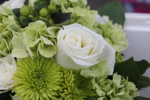 Ellie @dontcallmealady cover picture