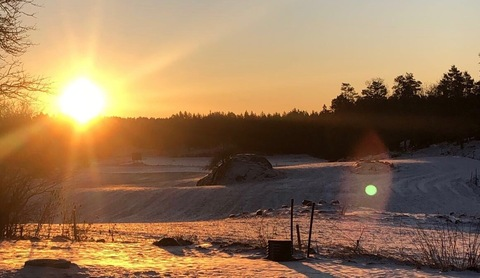 Dr33Mog @dr33mog cover picture