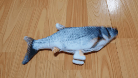 TC @dressedlegs cover picture