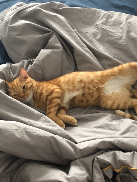 Ecsodia @ecsodia cover picture