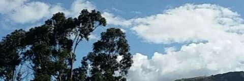 Eddy @eddylg21 cover picture