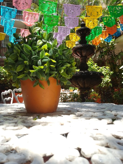 Eila Zel @eilazel cover picture