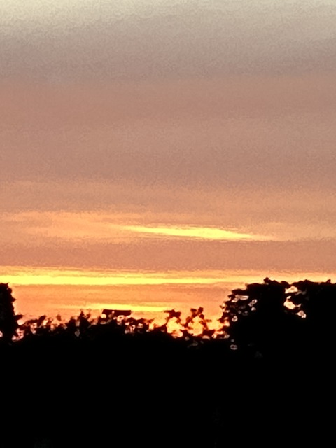 Elizabeth @eli-anne cover picture