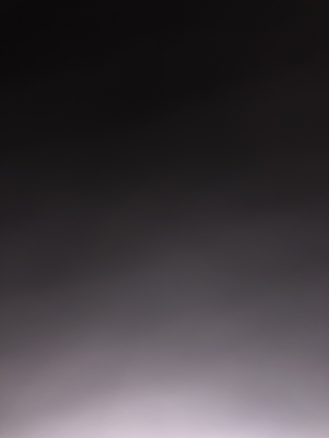 Elina Noelle @elinanoelle cover picture