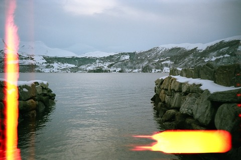 Elise @eliselomccain cover picture