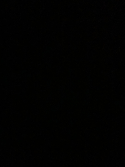 Eliza Rose. @elizanextdoor cover picture