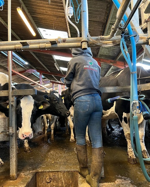 Ella @ella.shilson cover picture