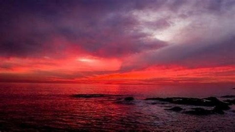 Ella @ellabella19 cover picture