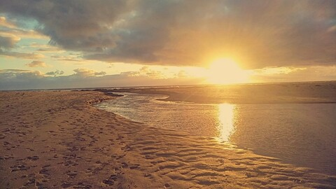 Elli Jay @ellijay cover picture