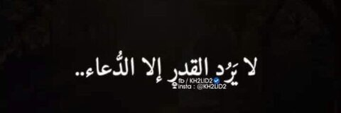 🕸 Emara 🌗 @emara cover picture