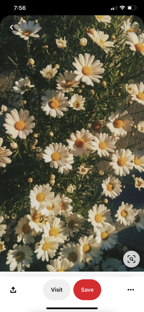 Emebrooke @emebrooke cover picture