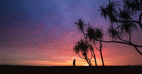 Emilia Taylor @emiliataylor cover picture