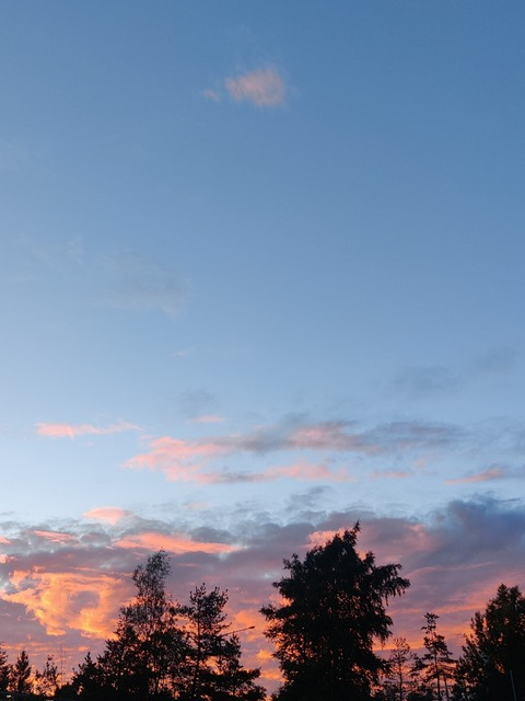 Emily @emilyxhoney cover picture