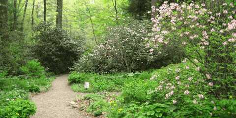 Emma Douglas @emmadouglas cover picture