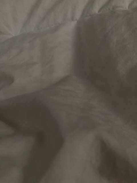 Emma Grey @emmagrey cover picture