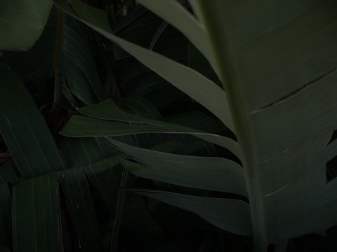 Emma Christina @emmahaggstrom cover picture