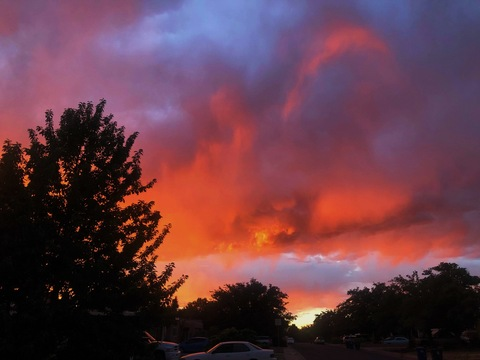 Rosie E @englishrosie cover picture