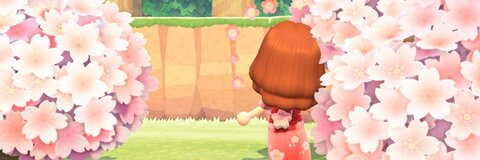 enyaa @enyaa cover picture