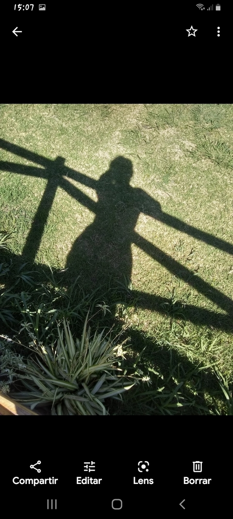 Estrella💫👅🍑 @estrellitaa69 cover picture