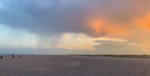 exotic_goddess @exotic_goddess cover picture