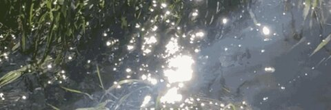 Farah Jamay @farahjamay cover picture