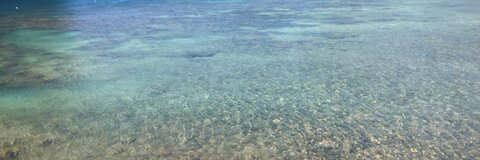 Father K @father_k cover picture