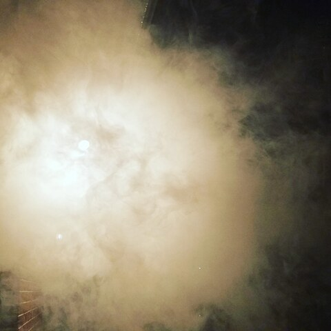 Feral @feraldreamer69 cover picture