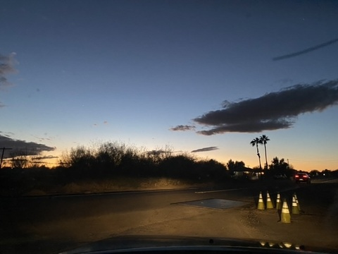 Fern @fernm cover picture