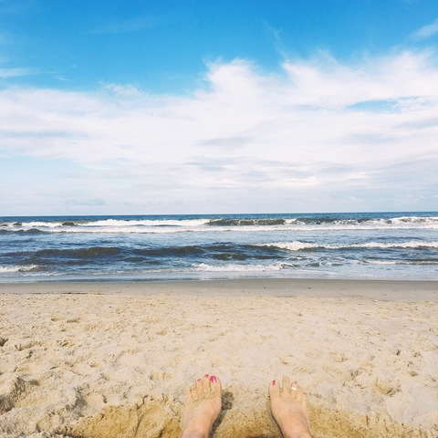 Holly Paws @fetchingpaws cover picture