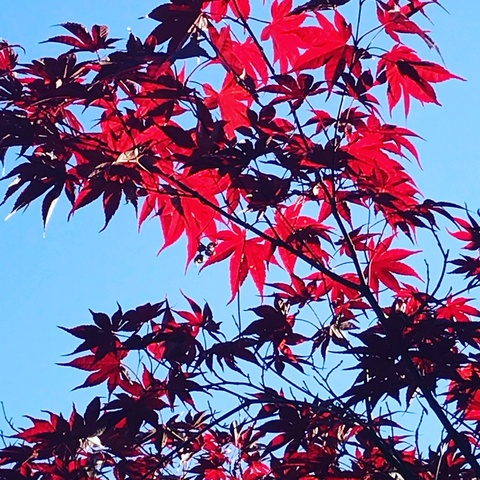 u39400055 @feyre cover picture