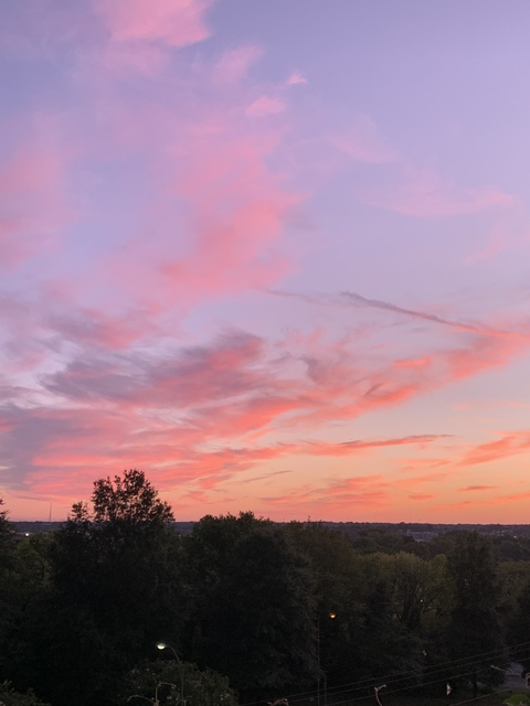 ʕ•ᴥ•ʔ @firecrotchcutie cover picture