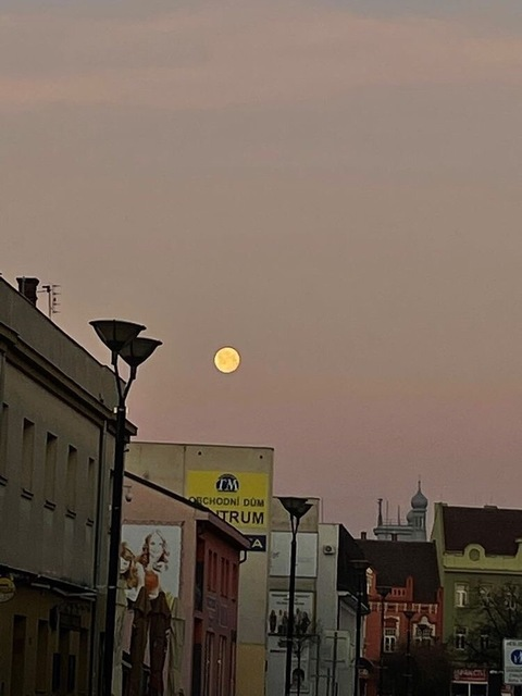 FittaTekk @fittatekk cover picture