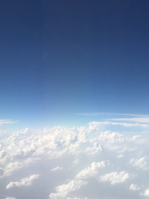 lou @fitzplsr cover picture