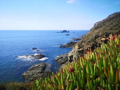 Flickchick77 @flickchick77 cover picture