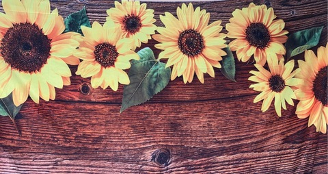 Fluffy @fluffychick30 cover picture