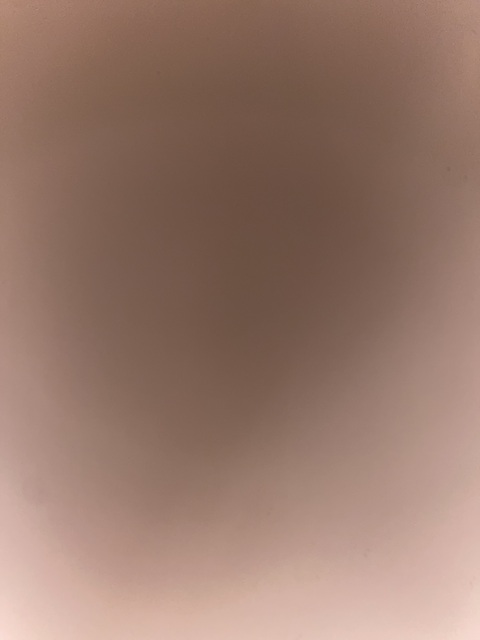 Shawn @flyguyshawn7 cover picture