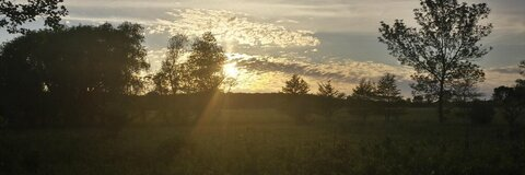 Hallie @flying_phoenix cover picture