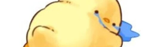 _fockuoka_ @fockuoka cover picture