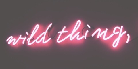 your ƒɑѵօɾíեҽ @fordisplayonly cover picture