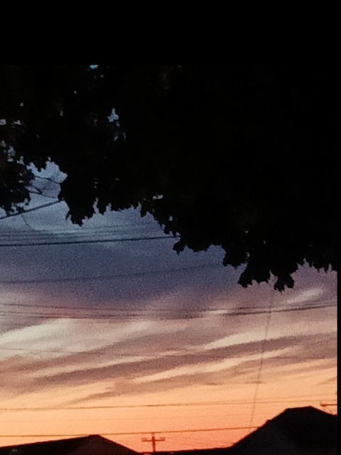 Fornikatie @fornikatie cover picture