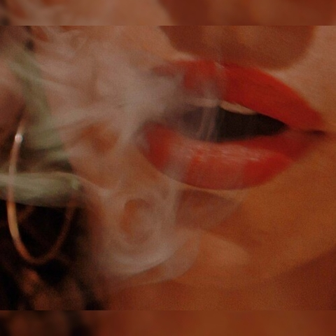 Rose @foxrose cover picture