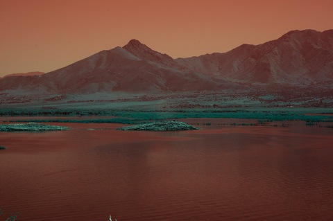 Franko @frankii cover picture