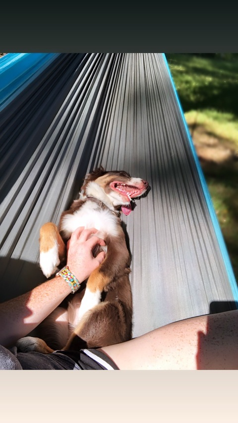 Scarlett @freckledredhead cover picture