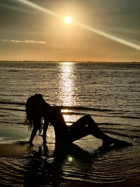 FreeBird 🌙🖤 🔝1% @freebirdvip cover picture