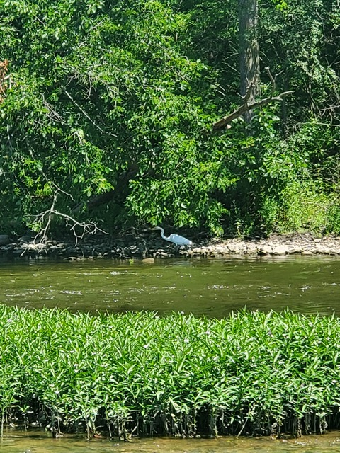 Friendly Fisherman @friendlyfisherman cover picture