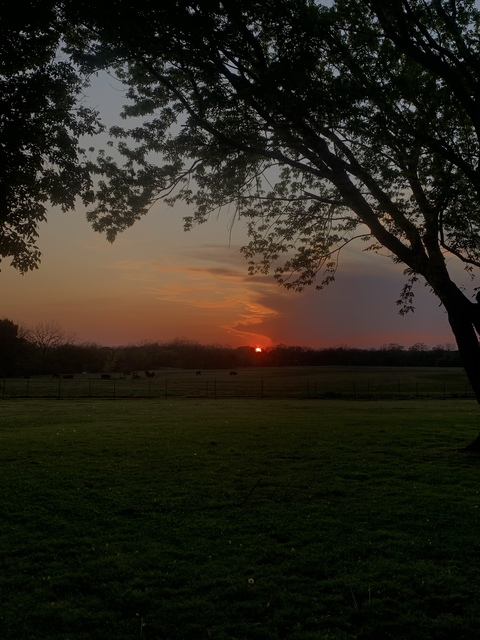 Luci @fuckyou_verymuch cover picture