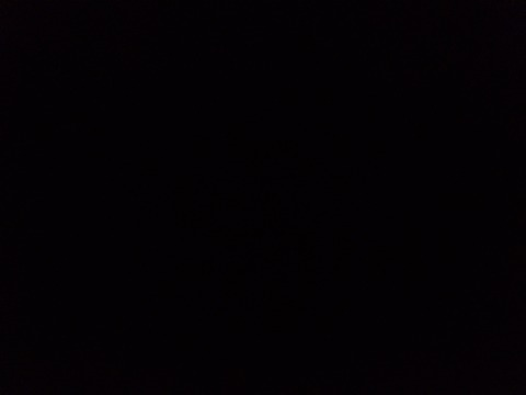 Barefoot Bunny @g0ldenhour cover picture